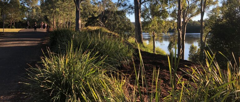 Planted in the garden