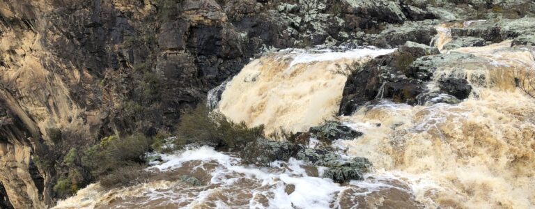 Ever lives to intercede