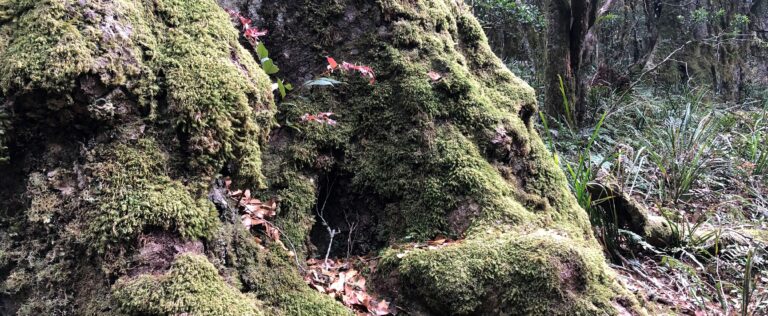 Expectations in prayer