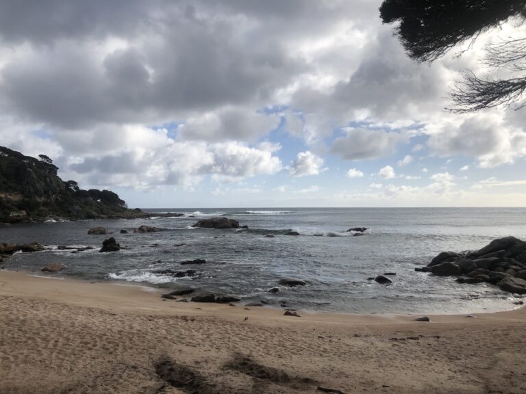 Paul confirms its OK to ask for prayer for me?