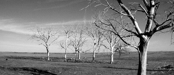 The holy God hates evil