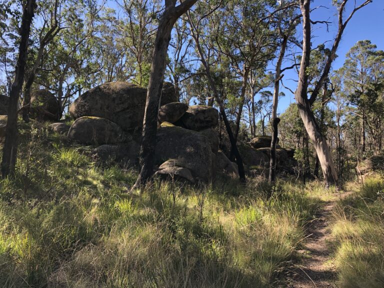 Enter the narrow gate