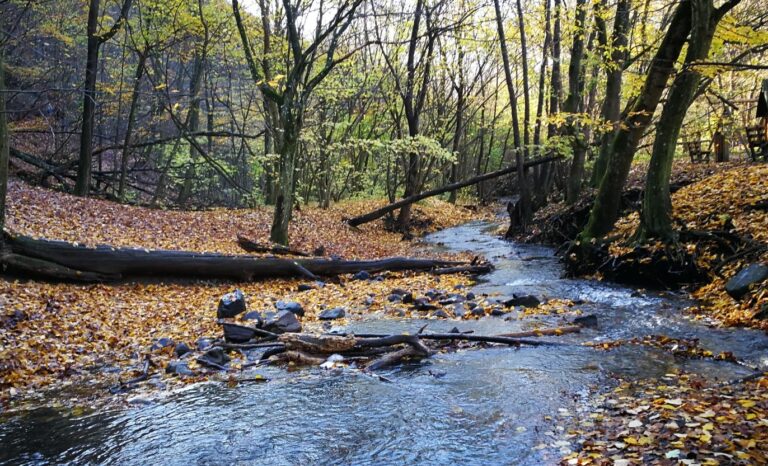 Israel to the nations