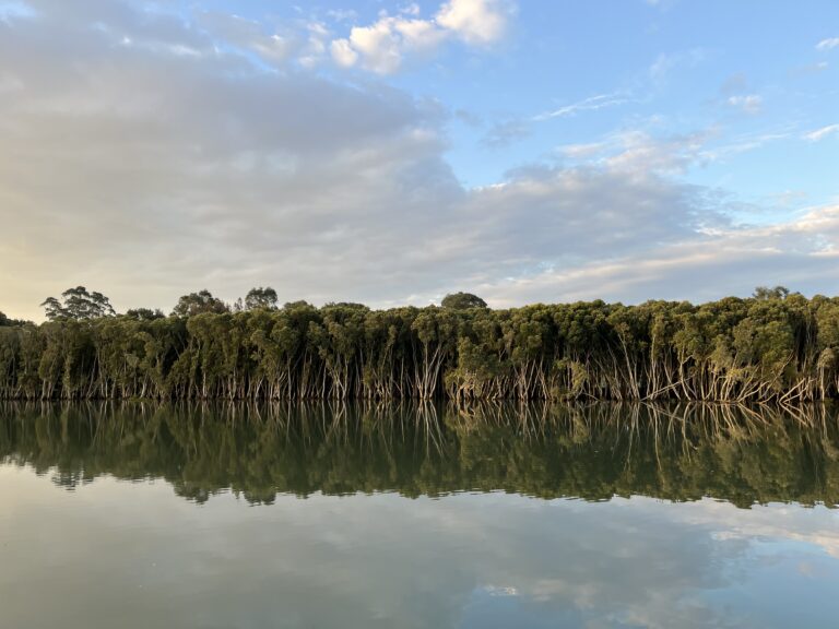 Faithfulness and falsehood