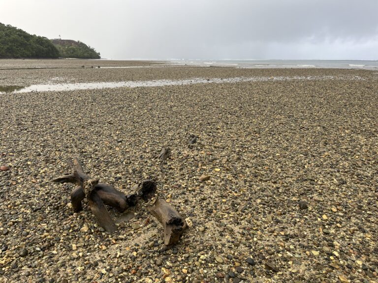 Transformational knowledge